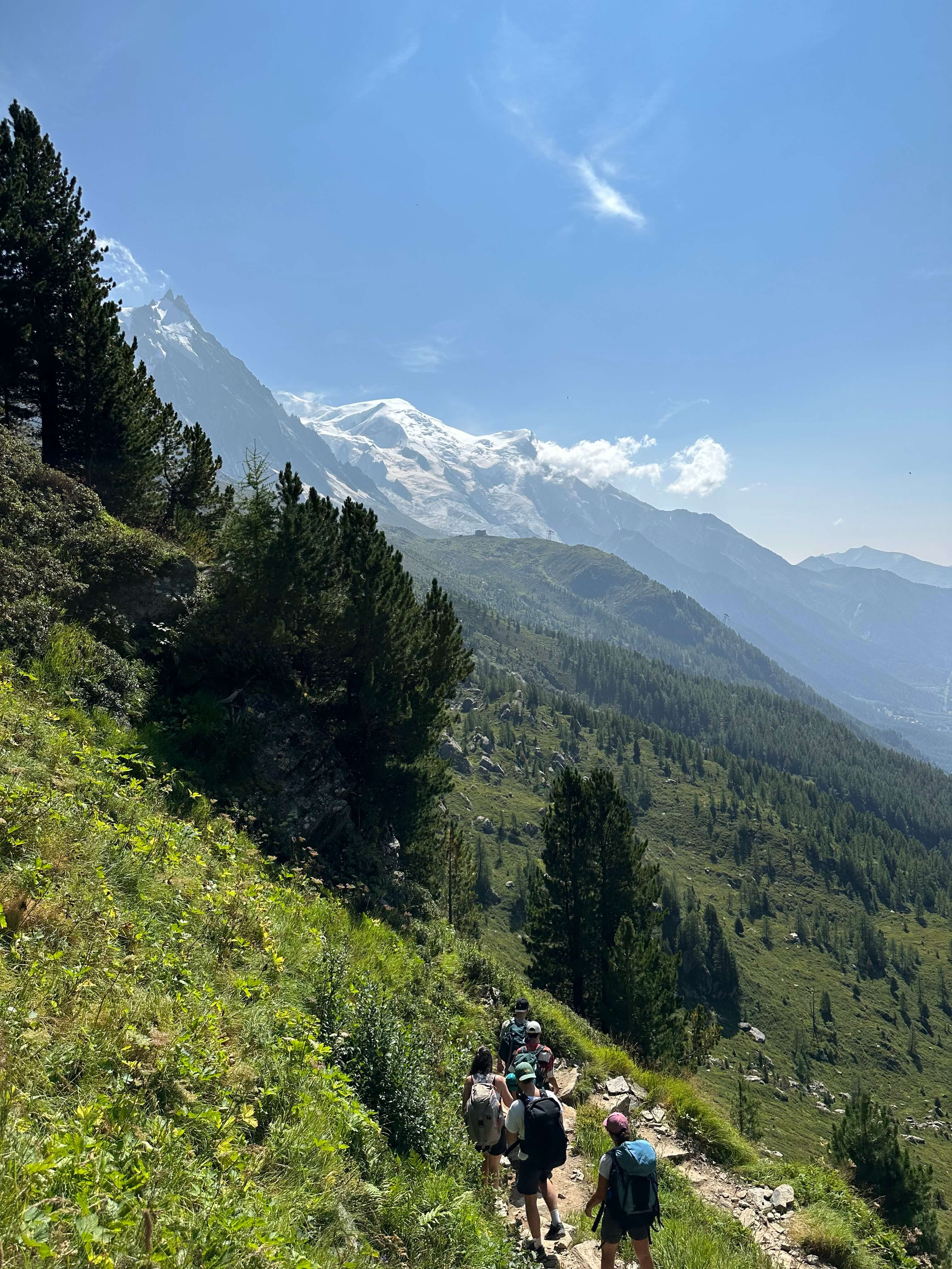 Photo de la montagne à Chamonix