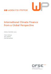  International Climate Finance From a Global Perspective. ÖFSE Working Paper (76)