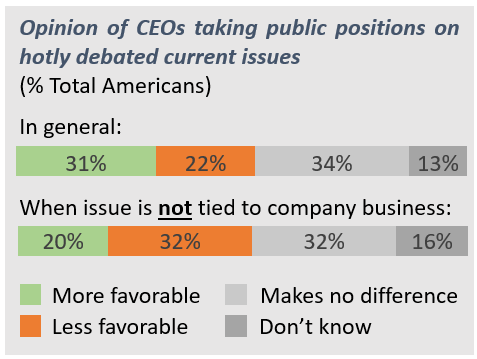 CEO opinion