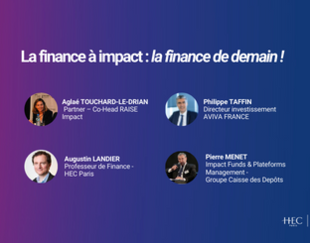 LES DIFFÉRENTES FACETTES ET ENJEUX DE L’IMPACT INVESTING